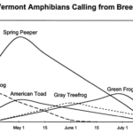 breedercallingtimes1000