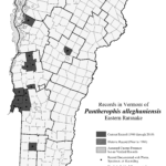 pantherophis_alleghaniensis