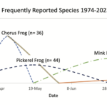 Amphibian Chorus Timing 1974-2023 Less Frequently Reported