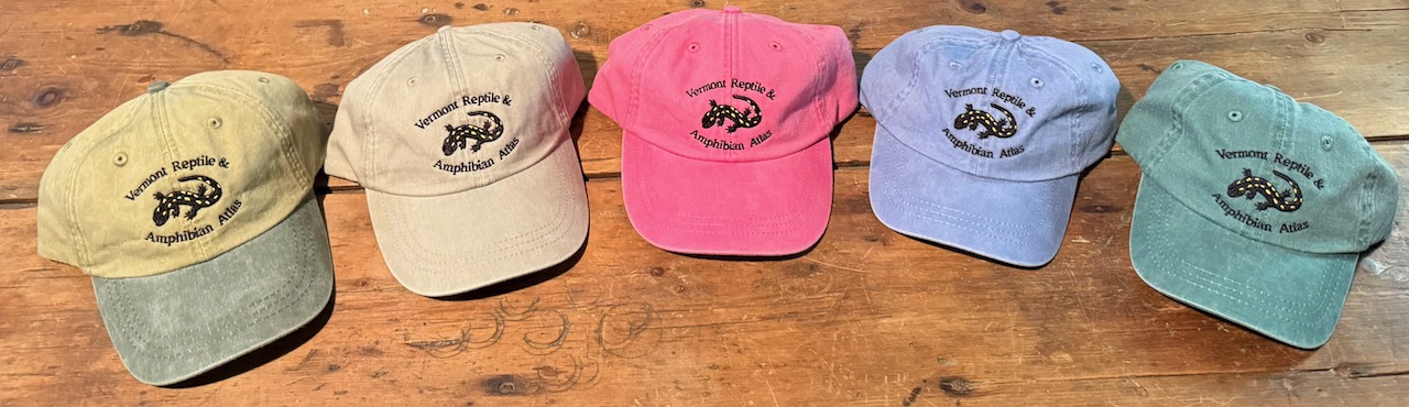 Five hats: two toned, khaki, hot pink, blue, green