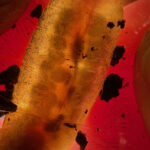 D. fuscus, Lincoln, Erin Talmage, candling
