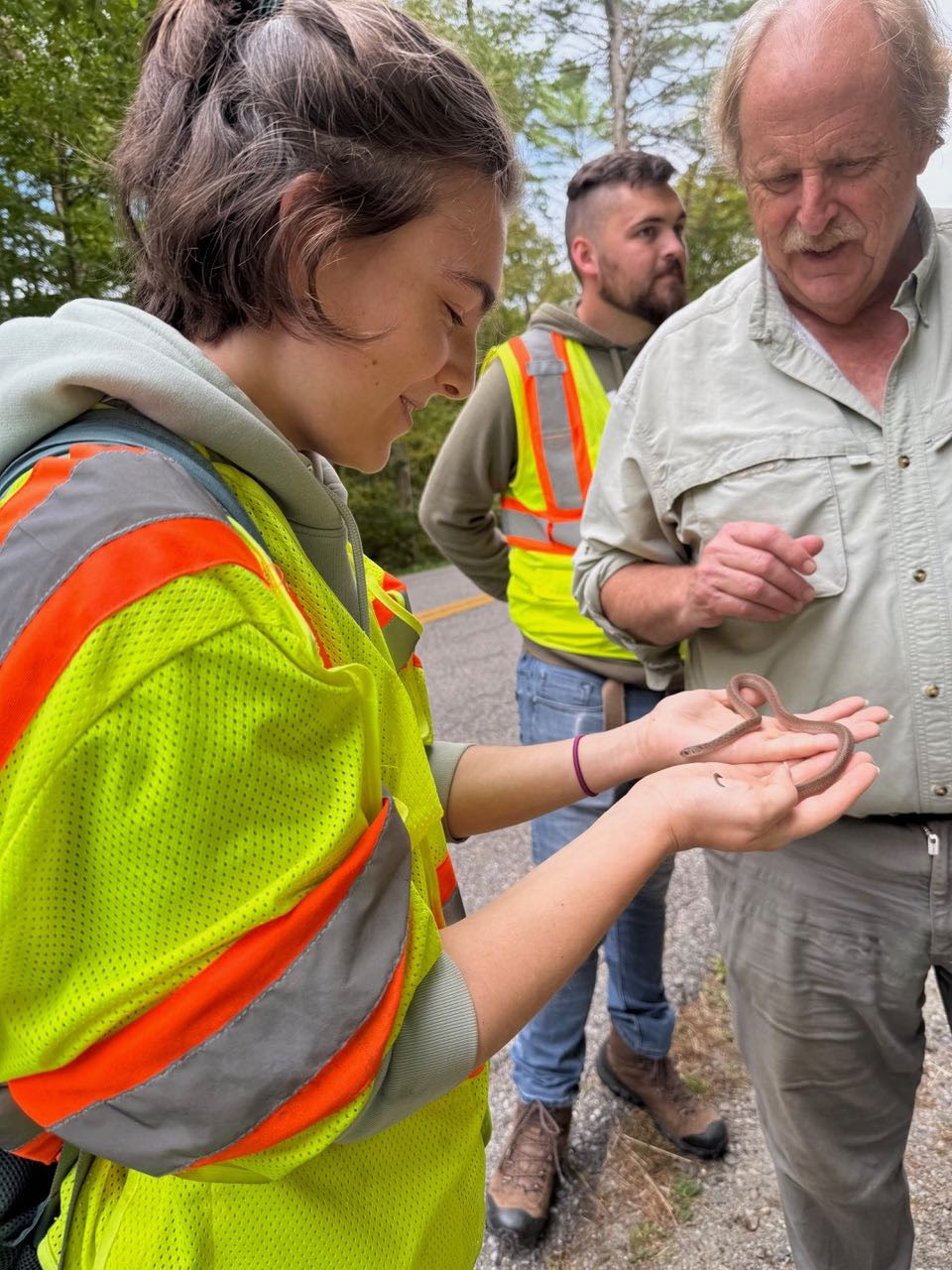 Herp Update: Field Trip, Map Turtle, Frog & Cecropia, Habitats & Highways – September 23, 2025