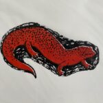 Spring Salamander print