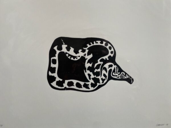 Ratsnake Print