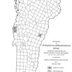 Jefferson Salamander distribution, 1995 map