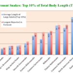 LengthData_Snakes