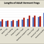 Lengths of Adult Vermont Frogs