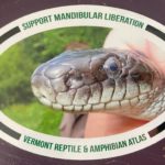 Mandibular Liberation bumper sticker