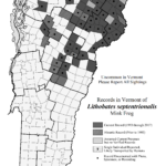 Mink map