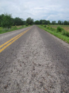 Remains of many, many Northern Leopard frogs on road