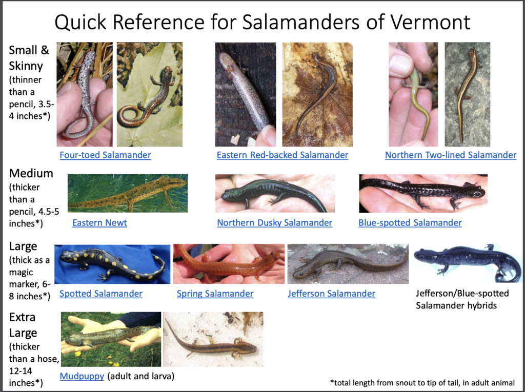 Screenshot of Quick Photo Reference page