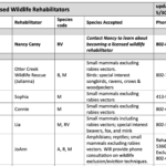 Wildlife_Rehabber_Screenshot