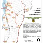 Wildlife_Rehabilitator_Locator_Map-2019_Page_1