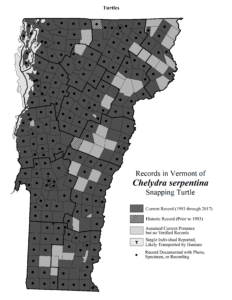 Records in Vermont of Chelydra serpentina (Snapping Turtle)