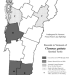 clemmys_guttata 2023