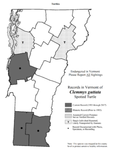 Records in Vermont of Clemmys guttata (Spotted Turtle)