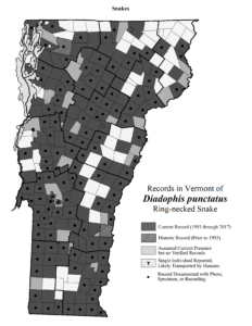 Records in Vermont of Diadophis punctatus (Ring-necked Snake)