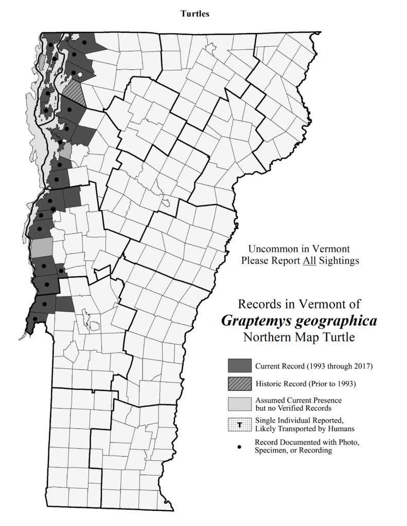 Records in Vermont of Graptemys geographica (Northern Map Turtle)