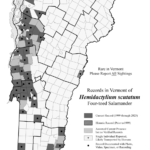 hemidactylium_scutatum 2023