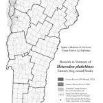 heterodon_platirhinos 2023