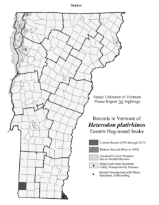 Records in Vermont of Heterodon platirhinos (Eastern Hog-nosed Snake)