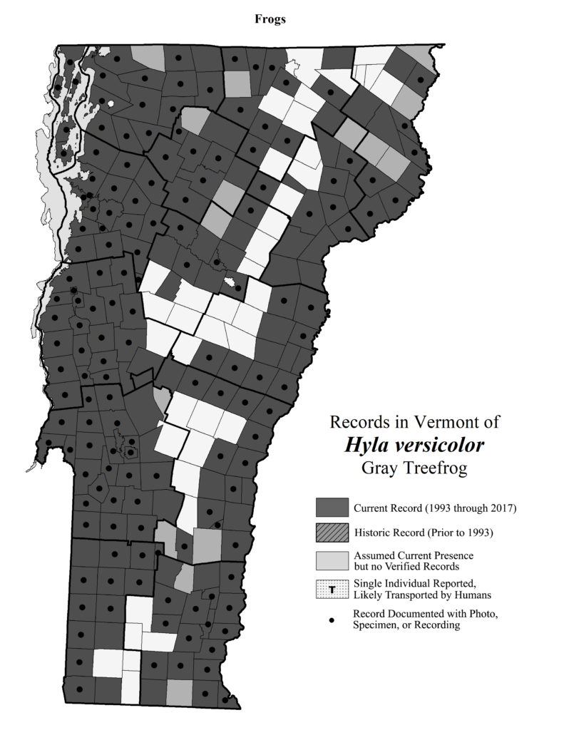 Records in Vermont of Hyla versicolor (Gray Treefrog)