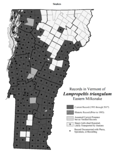Records in Vermont of Lampropeltis triangulum (Eastern Milksnake)