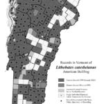 lithobates_catesbeianus 2023