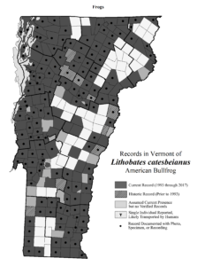 Map of Vermont records for Lithobates catesbeianus