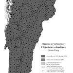 lithobates_clamitans 2023