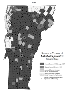 Records in Vermont of Lithobates palustris (Pickerel Frog)