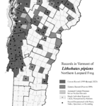 lithobates_pipiens 2023