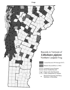 Records in Vermont of Lithobates pipiens (Northern Leopard Frog)