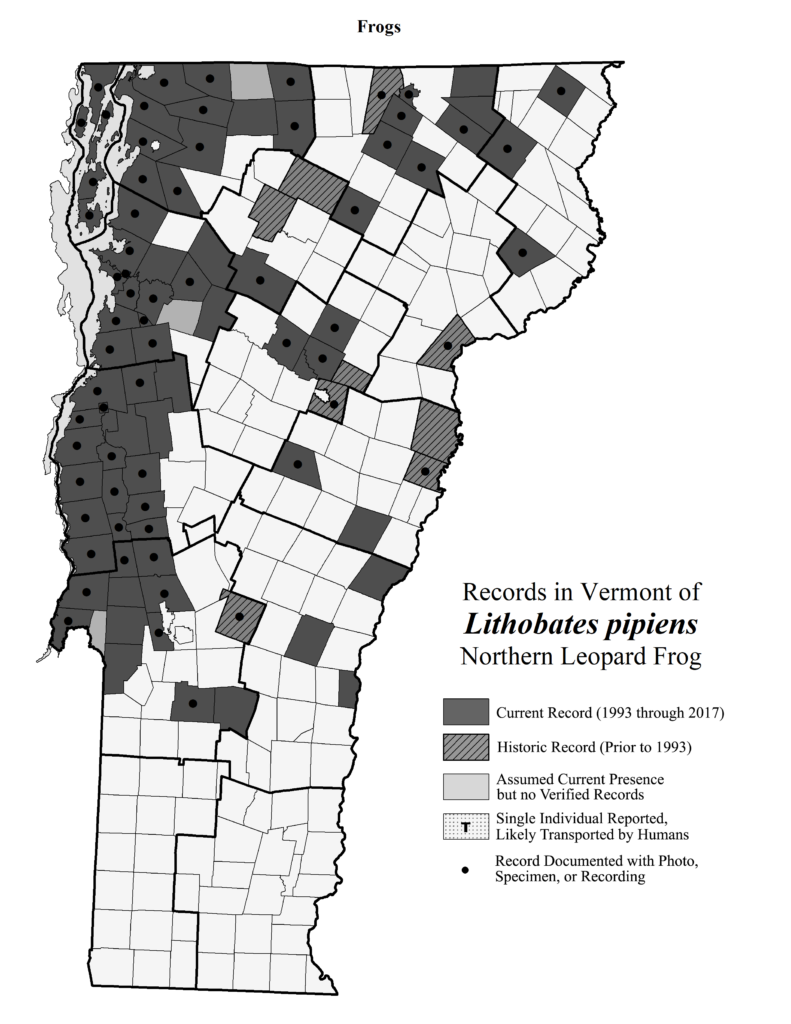 Records in Vermont of Lithobates pipiens (Northern Leopard Frog)