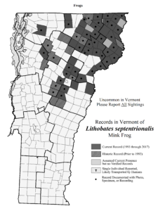 Records in Vermont of Lithobates septentrionalis (Mink Frog)