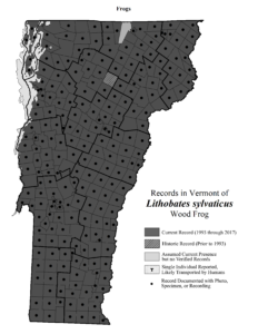 Records in Vermont of Lithobates sylvaticus (Wood Frog)