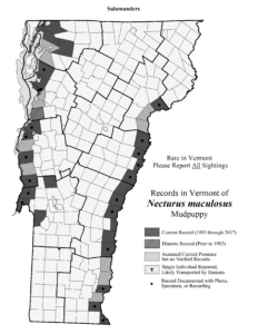 Records in Vermont of Necturus maculosus (Mudpuppy)