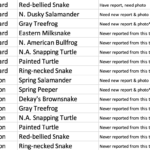 needed reports stannard stratton