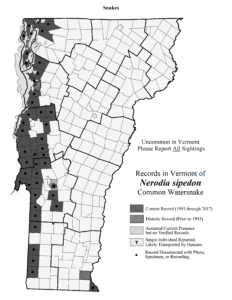 optegnelser i Vermont af Nerodia sipedon (almindelig vandslange)