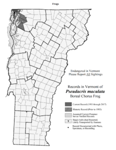 Map of Vermont records for Pseudacris maculata
