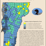 Reports per town