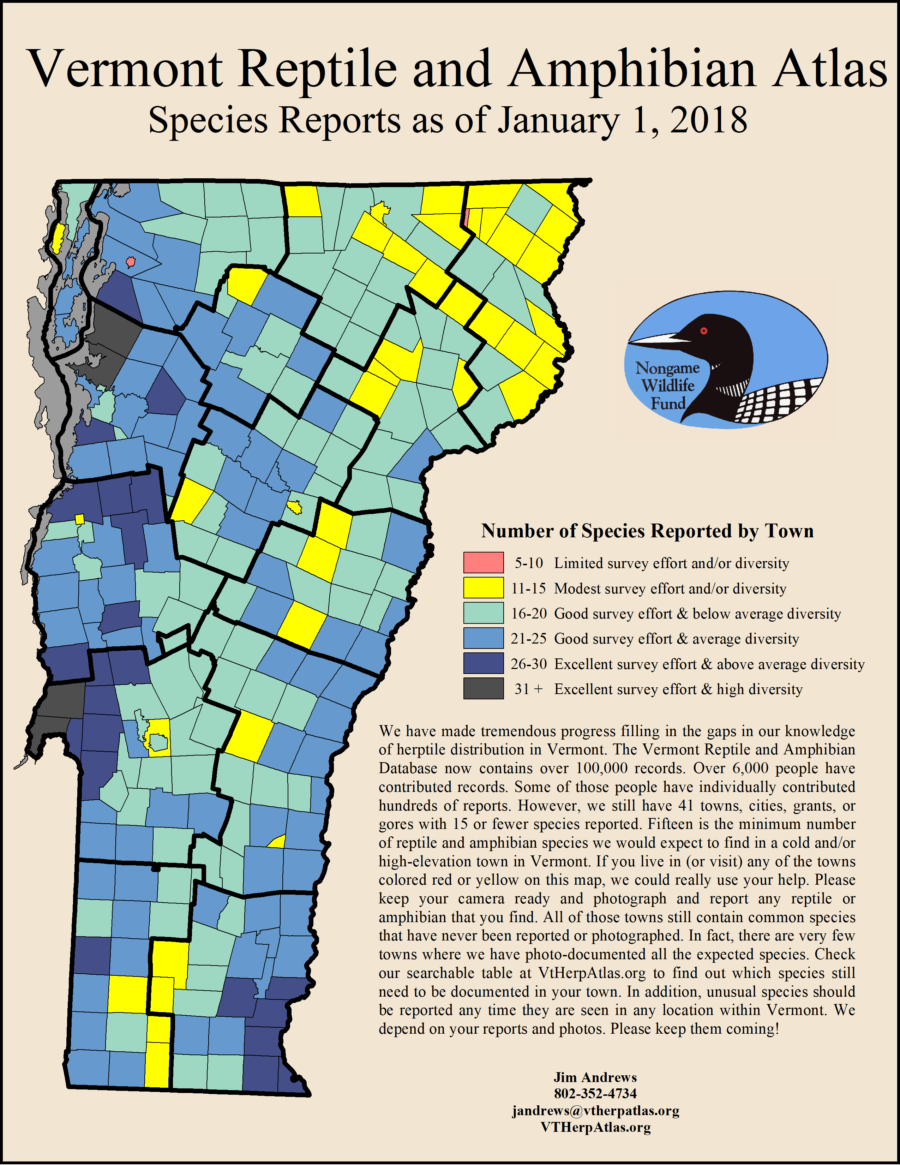 reports per town gray Vermont Reptile and Amphibian Atlas