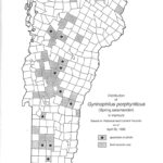 Distribution of Spring Salamanders, 1995 map