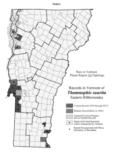Records in Vermont of Thamnophis saurita (Eastern Ribbonsnake)
